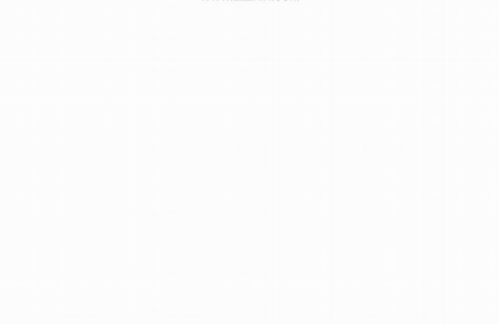 Alpha Mate 21 trang 1