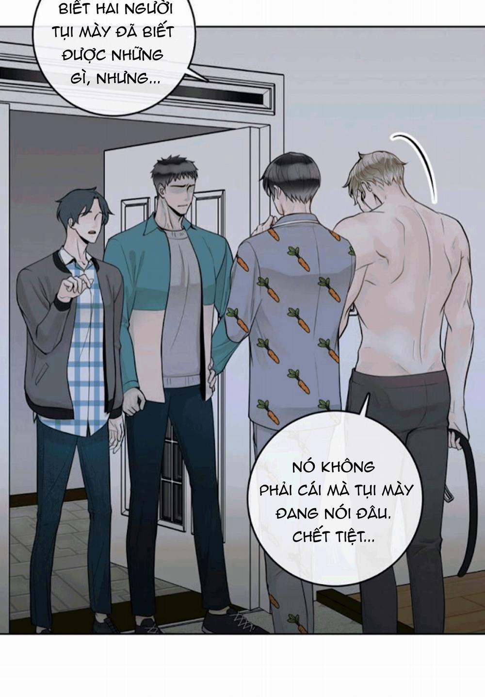 Alpha Mate 21 trang 10