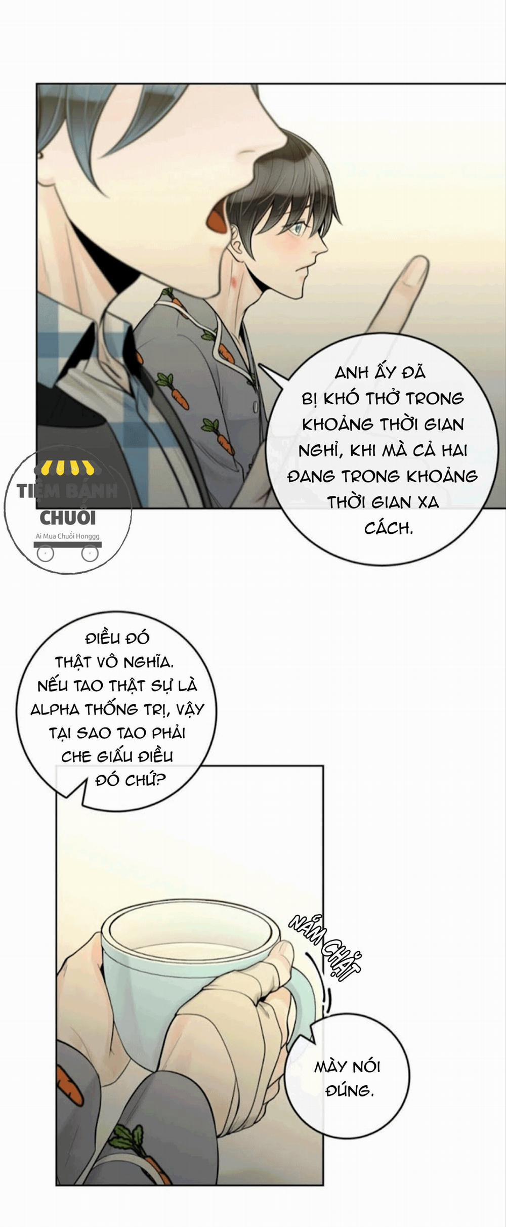 Alpha Mate 21 trang 21