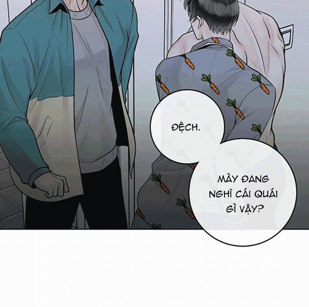 Alpha Mate 21 trang 3