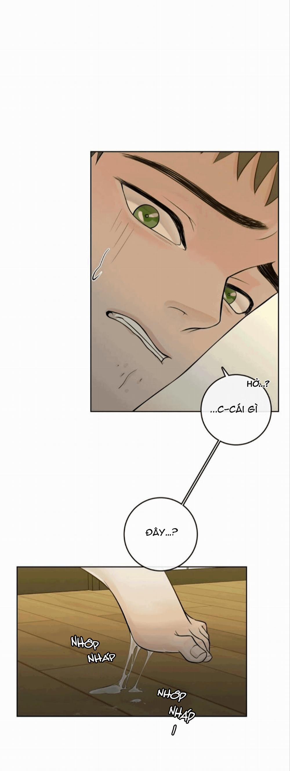 Alpha Mate 21 trang 33