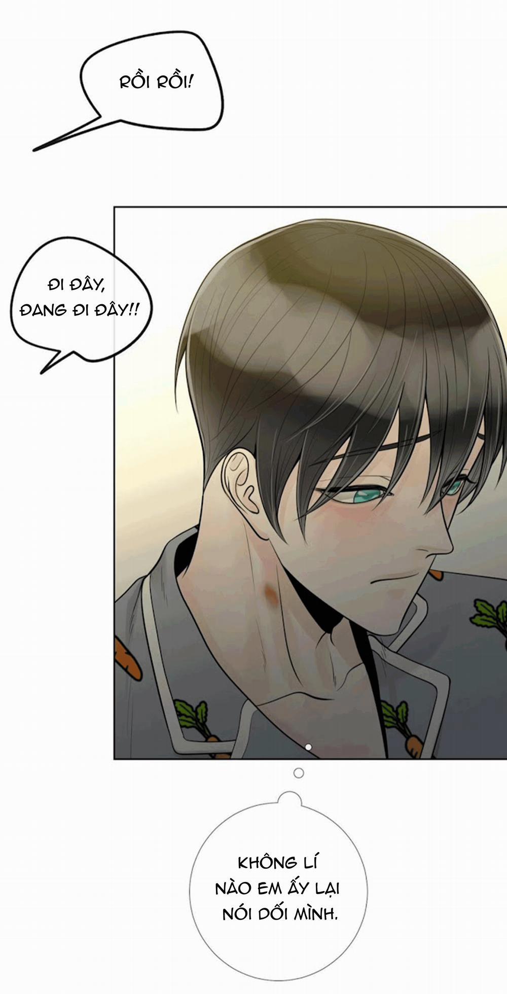 Alpha Mate 21 trang 39