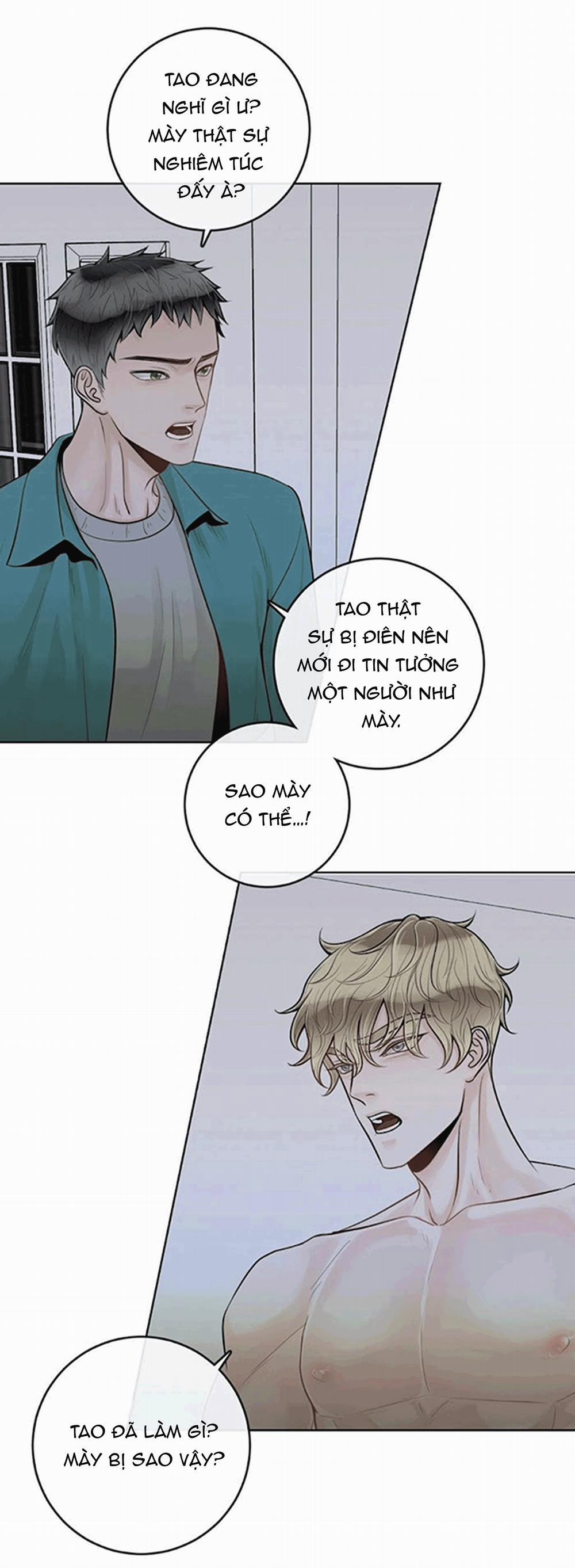 Alpha Mate 21 trang 4