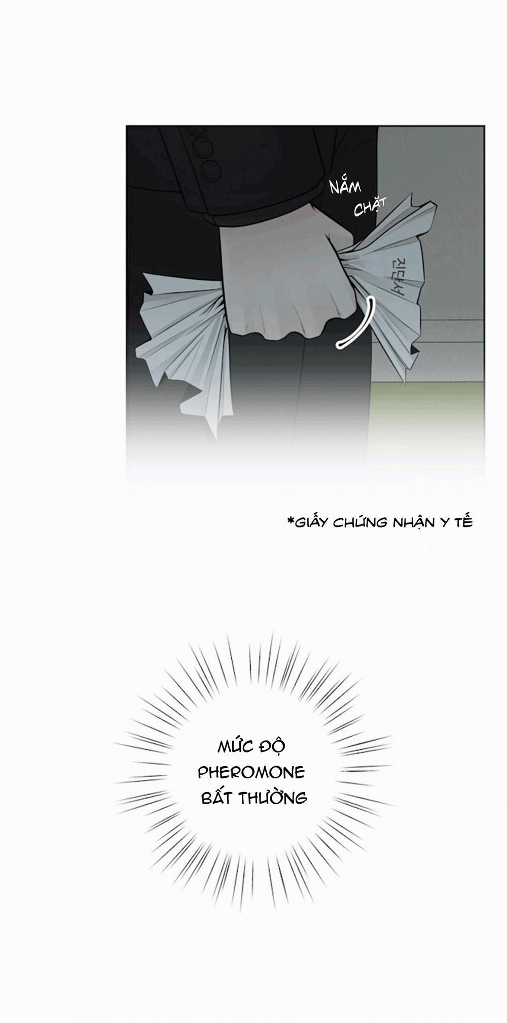 Alpha Mate 21 trang 45