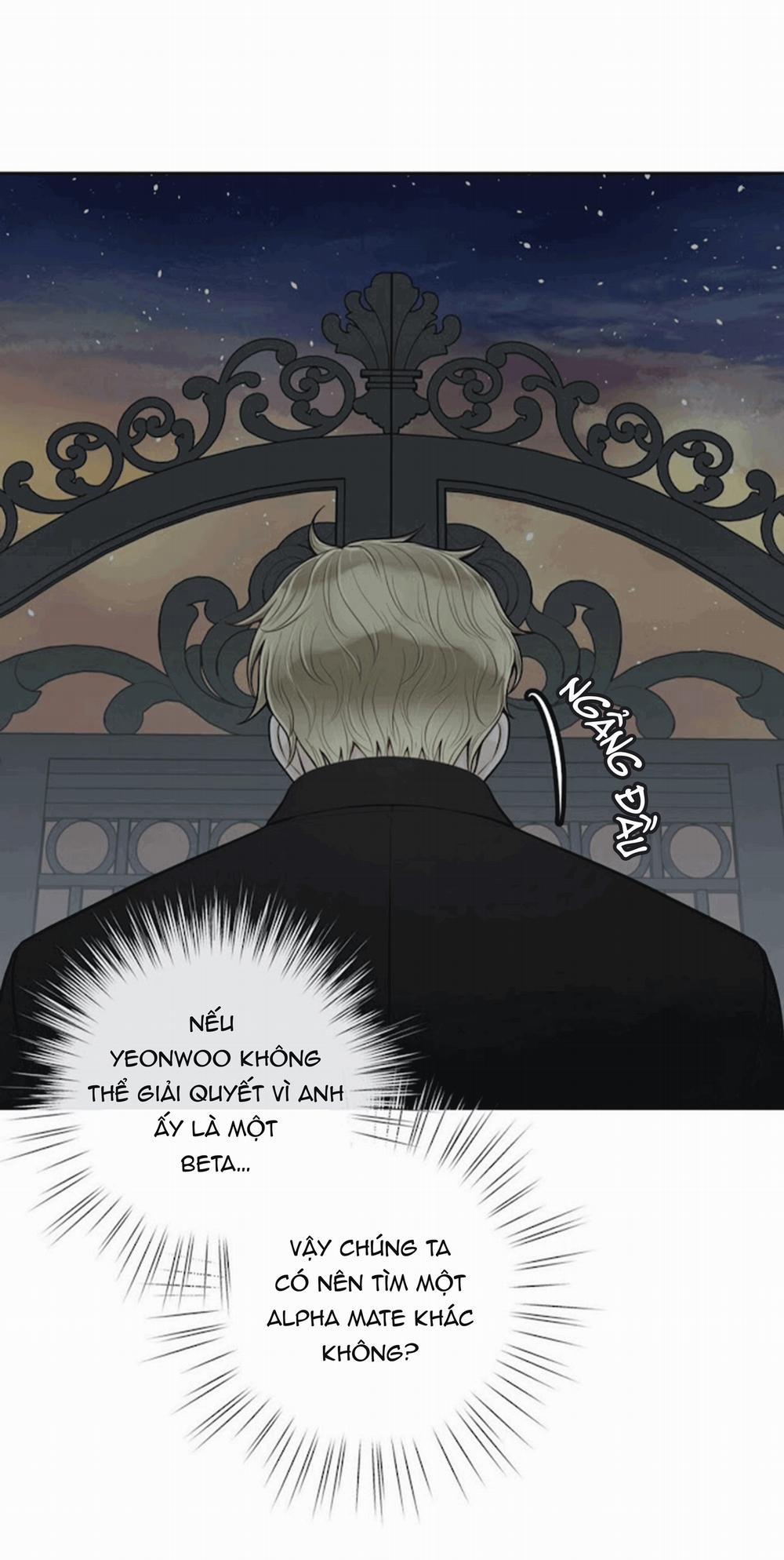 Alpha Mate 21 trang 48