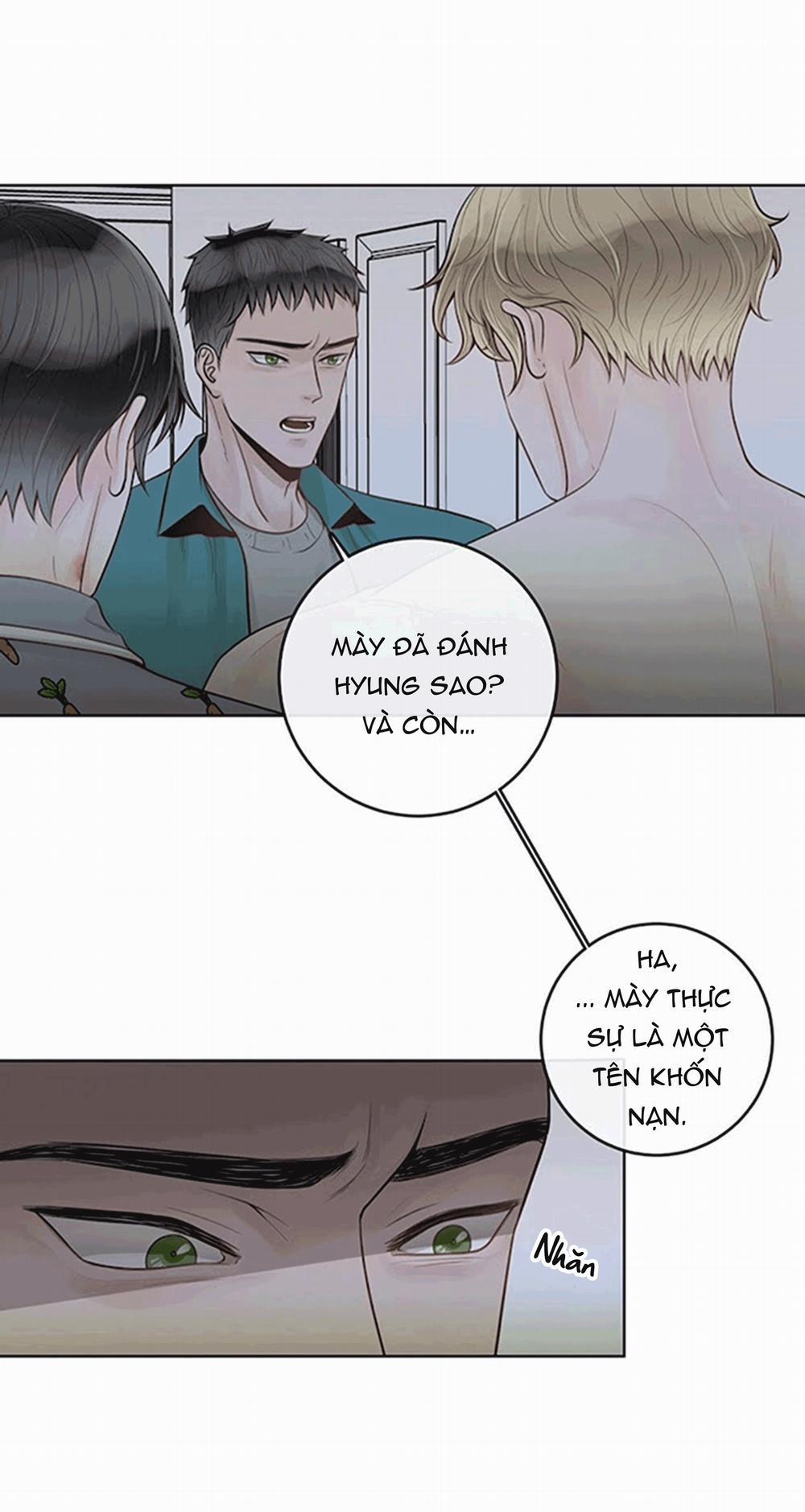 Alpha Mate 21 trang 5