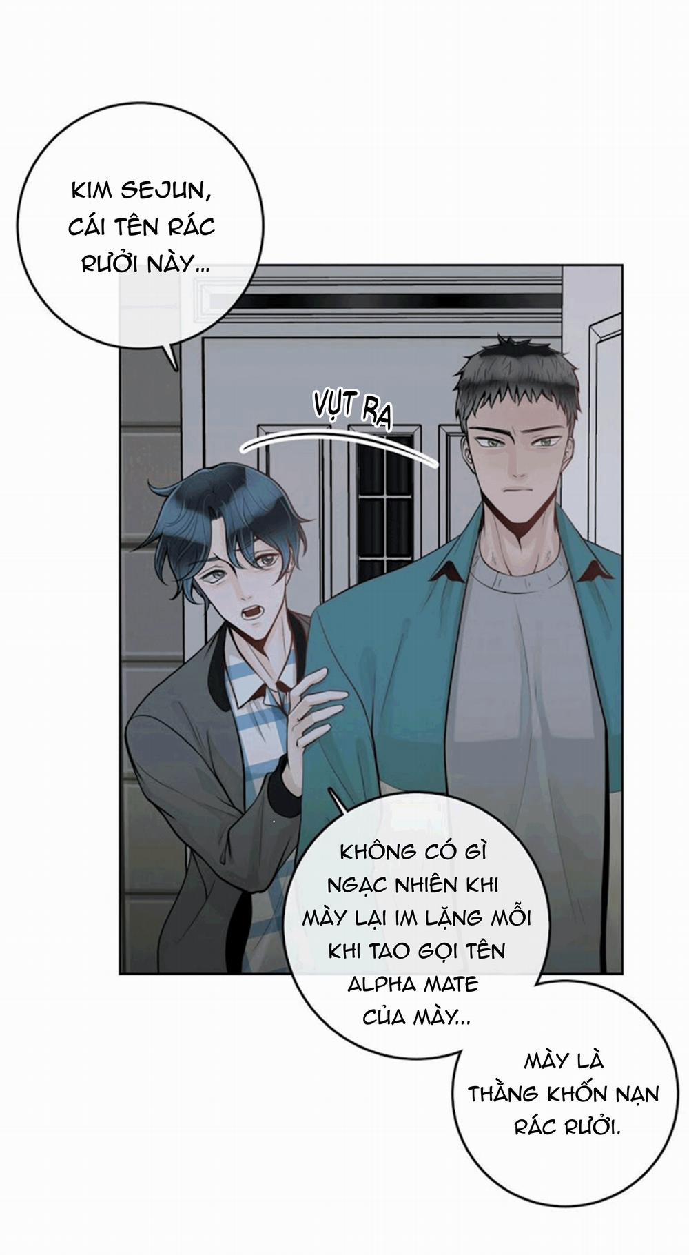 Alpha Mate 21 trang 6