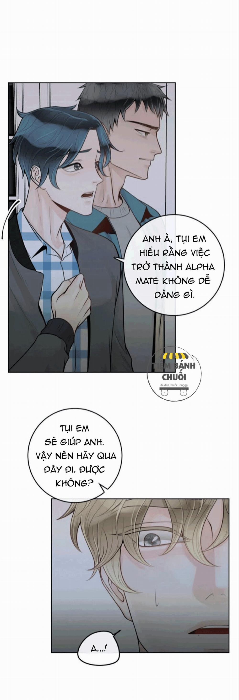 Alpha Mate 21 trang 8