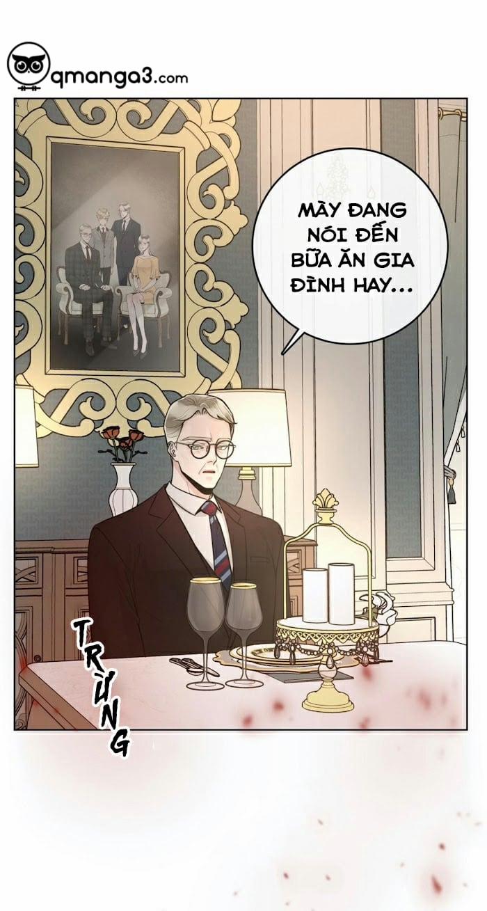 Alpha Mate 22 trang 11