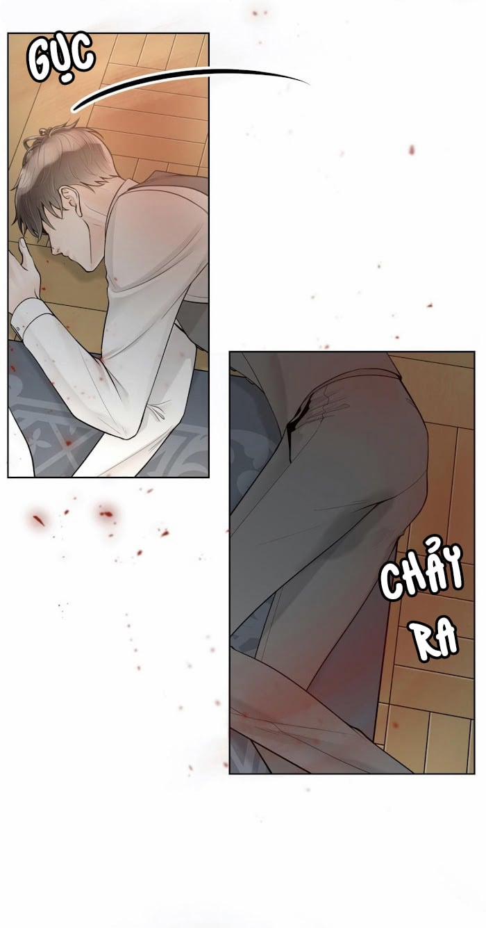 Alpha Mate 22 trang 17