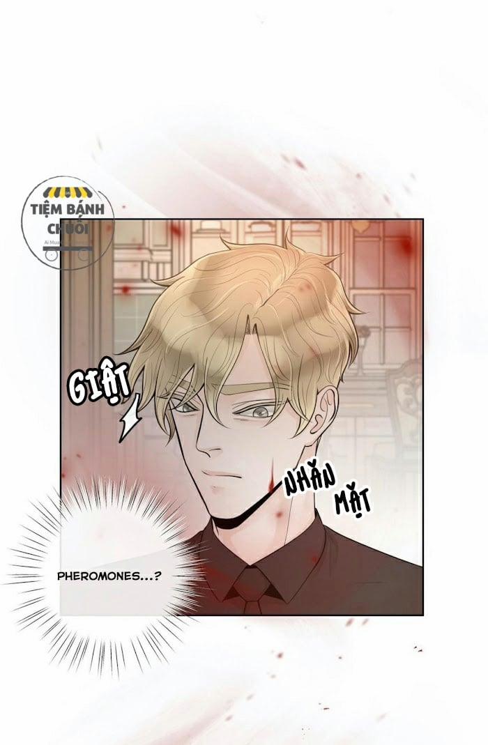 Alpha Mate 22 trang 18