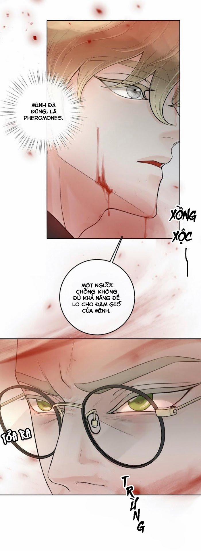 Alpha Mate 22 trang 21