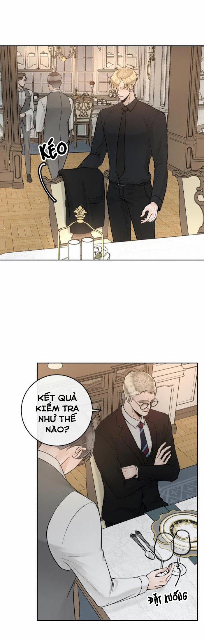 Alpha Mate 22 trang 8