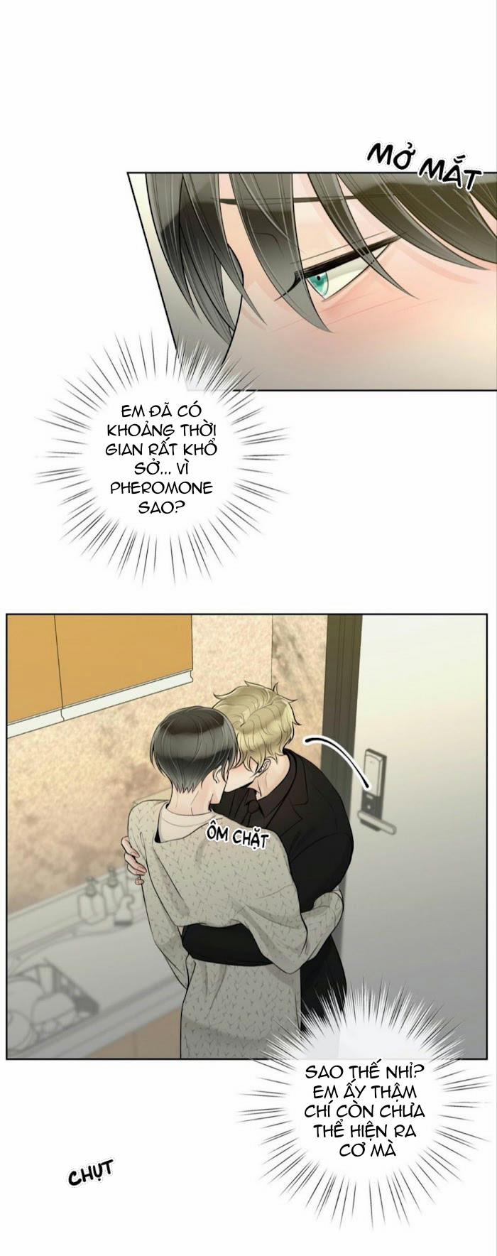 Alpha Mate 23 trang 21