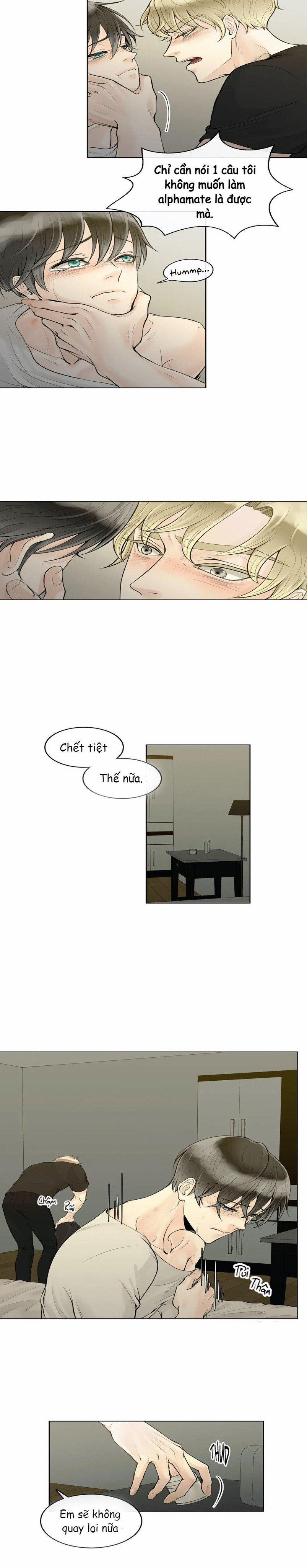 Alpha Mate 3 trang 11
