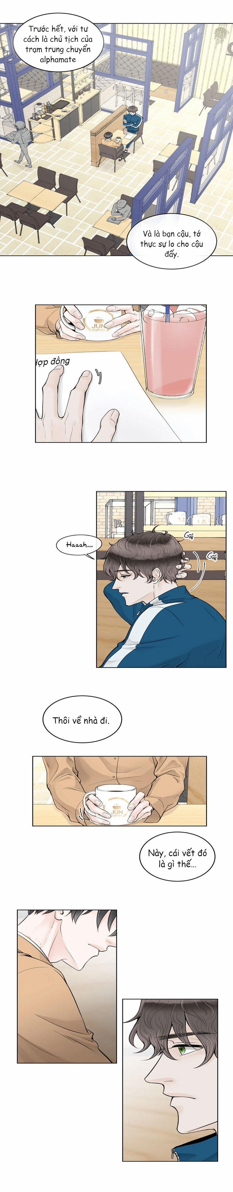 Alpha Mate 3 trang 15