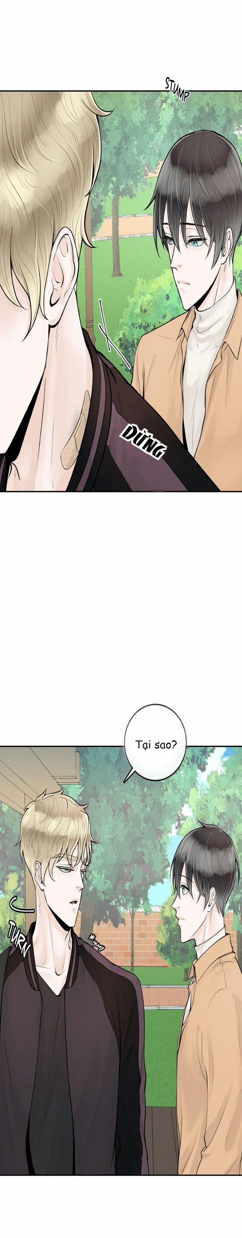 Alpha Mate 3 trang 29