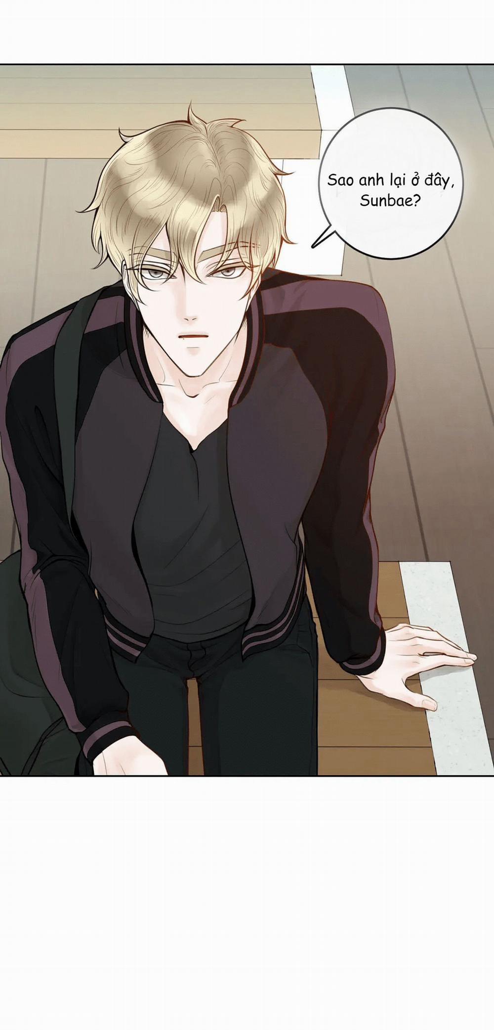 Alpha Mate 4 trang 0