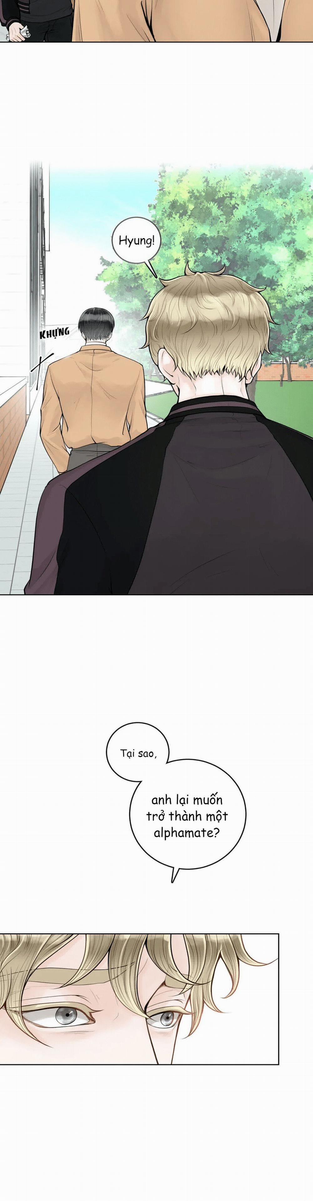 Alpha Mate 4 trang 13
