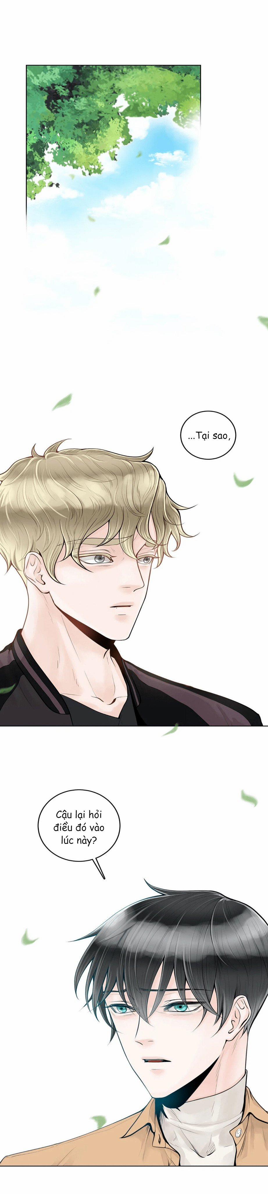 Alpha Mate 4 trang 15