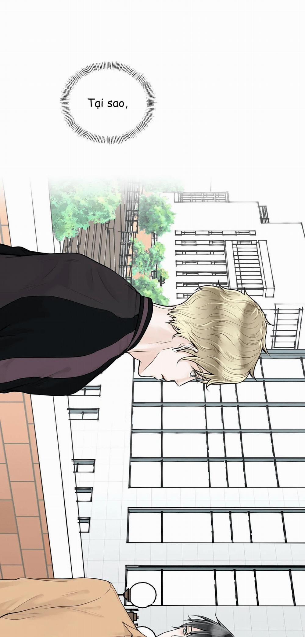 Alpha Mate 4 trang 18