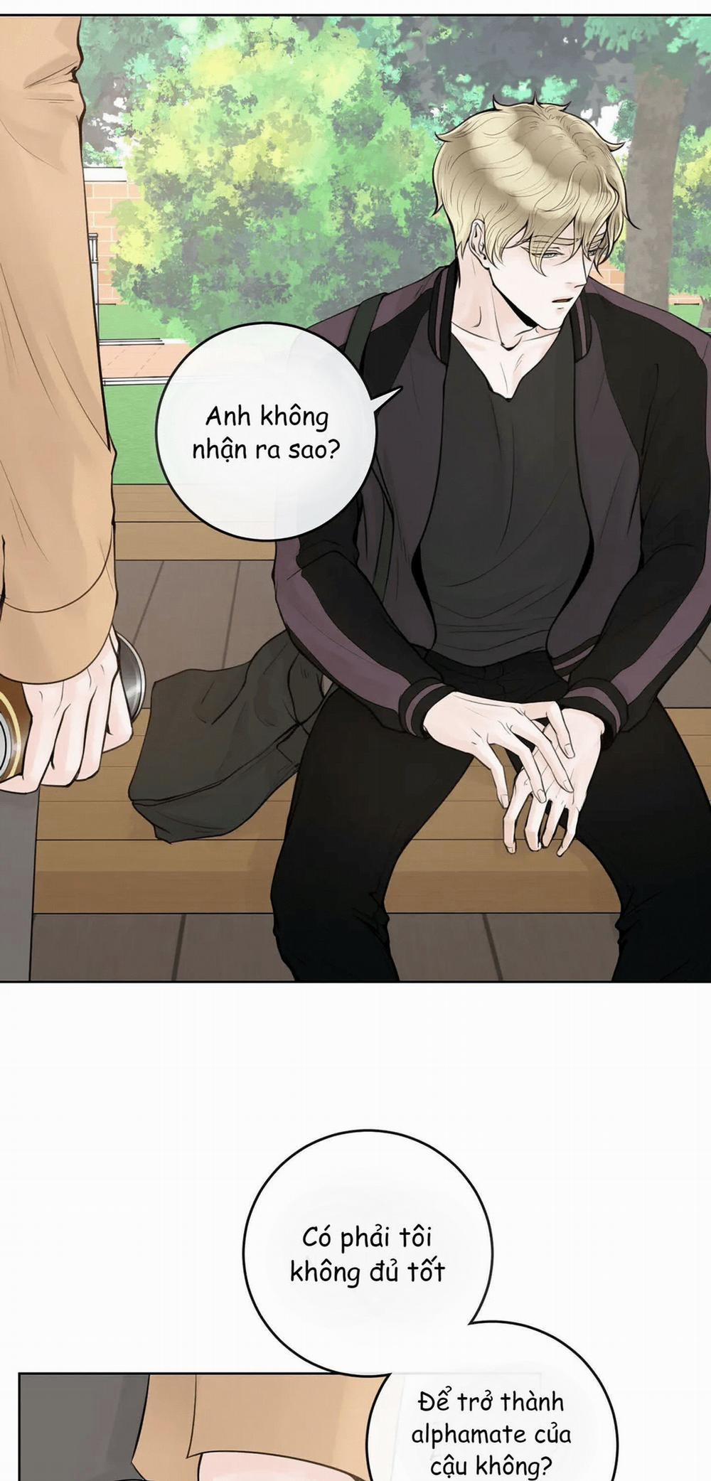 Alpha Mate 4 trang 4