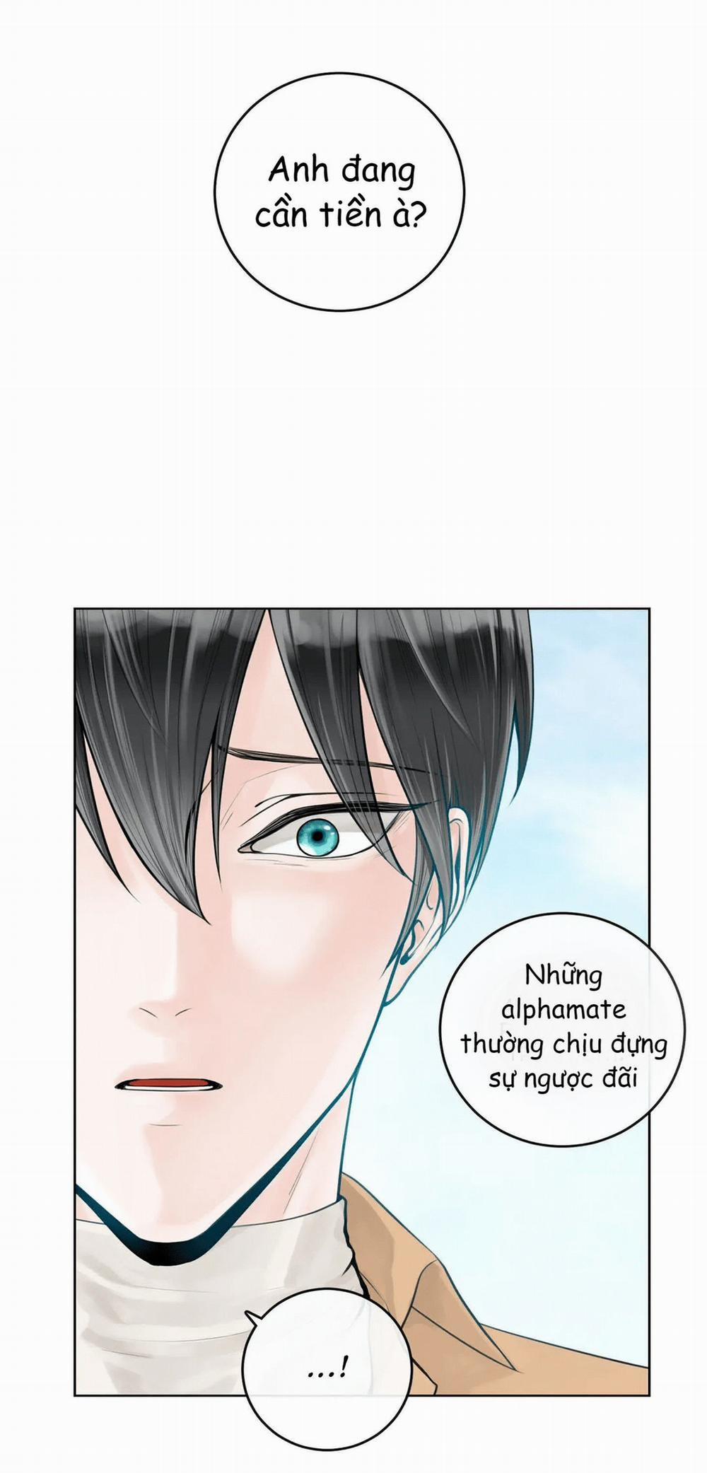 Alpha Mate 4 trang 6