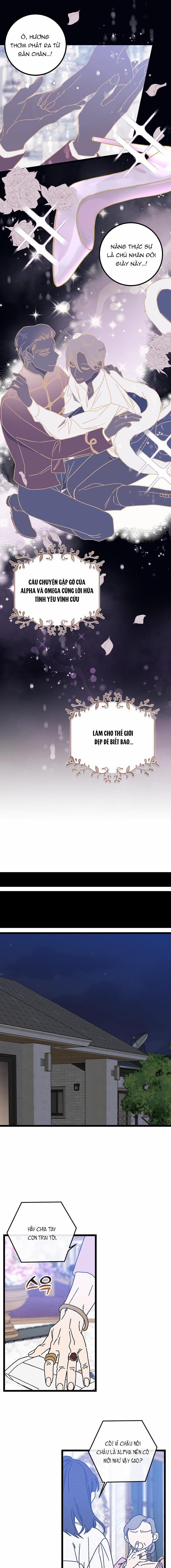 Alpha Thì Có Sao? 1 trang 1