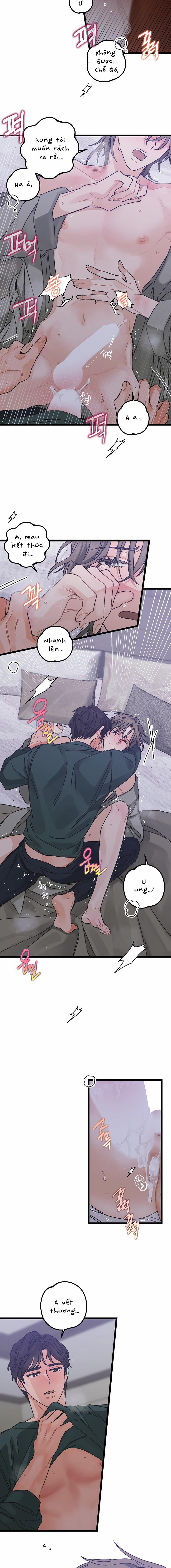 Alpha Thì Có Sao? 1 trang 8