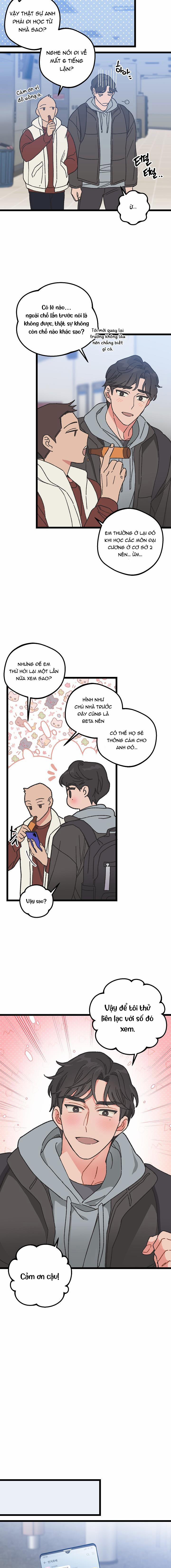 Alpha Thì Có Sao? 2 trang 2