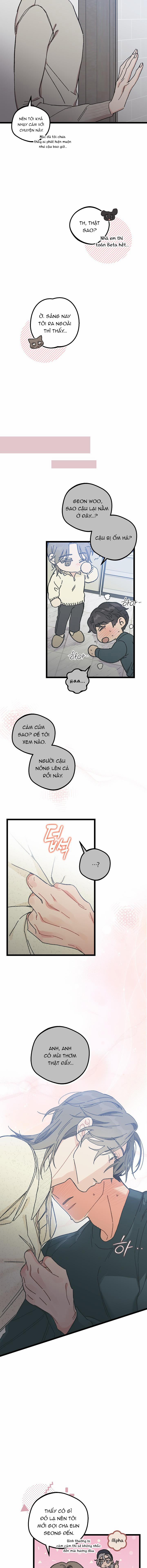 Alpha Thì Có Sao? 4 trang 4