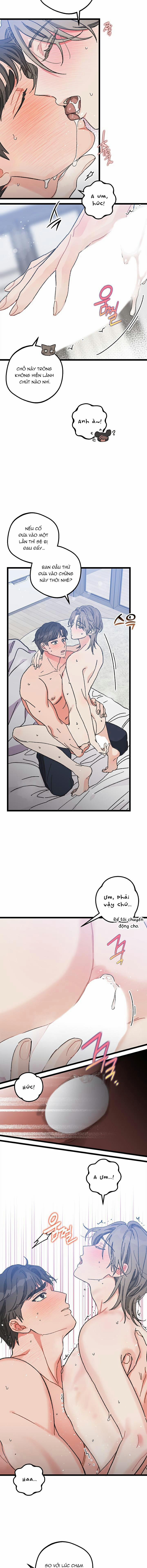 Alpha Thì Có Sao? 5 trang 6