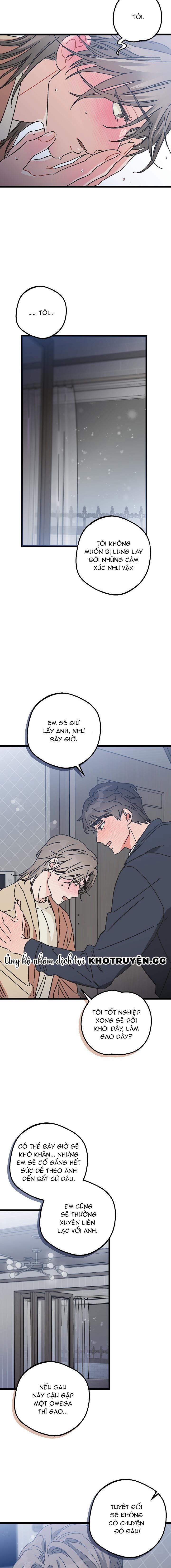 Alpha Thì Có Sao? 8 trang 16