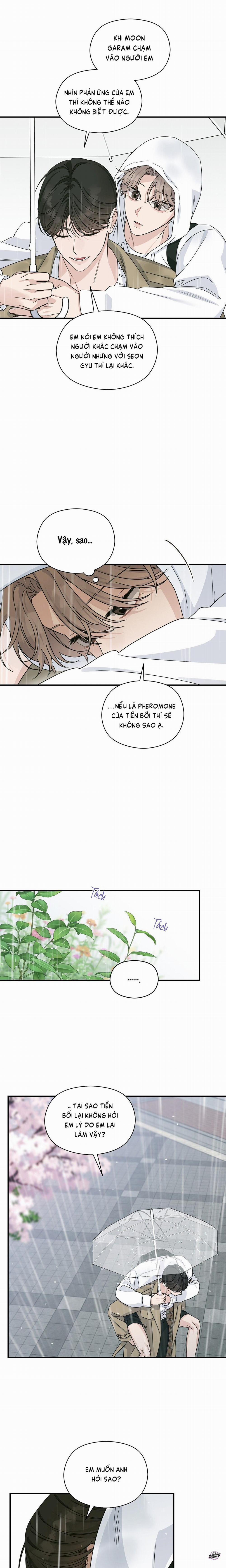 Ám Ảnh Alpha 14 trang 13