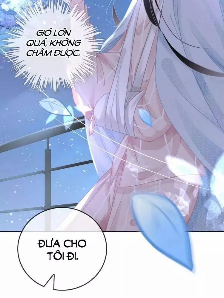 Ám Hắc Hệ Noãn Hôn 13 trang 41