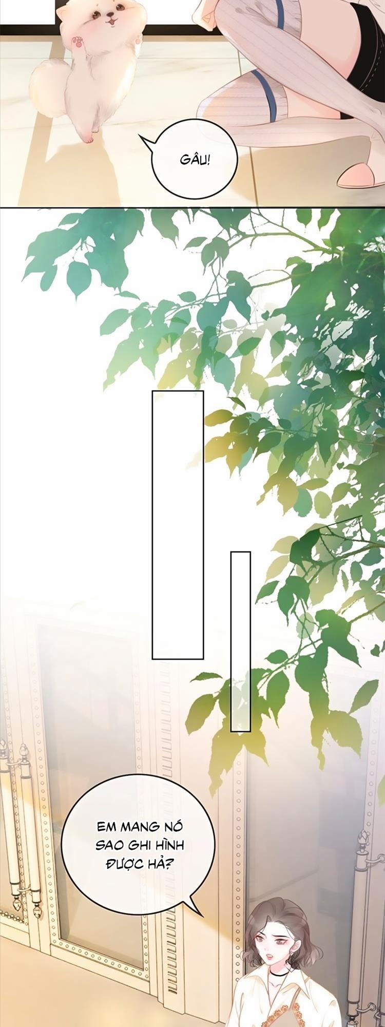 Ám Hắc Hệ Noãn Hôn 20 trang 12