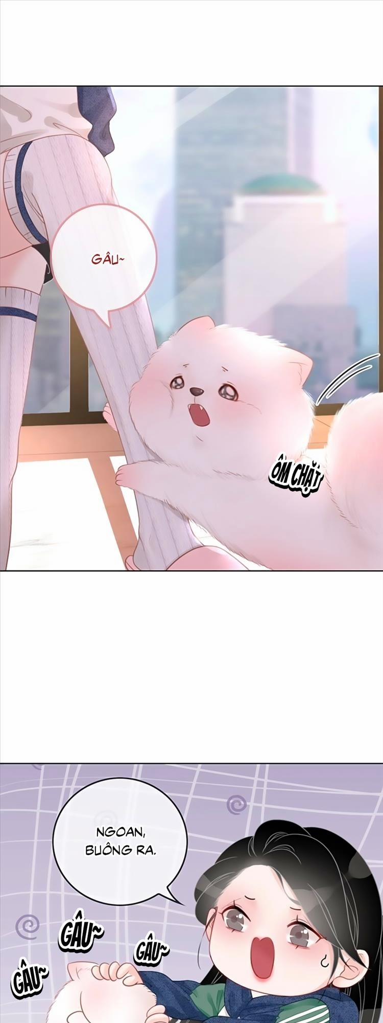 Ám Hắc Hệ Noãn Hôn 20 trang 9