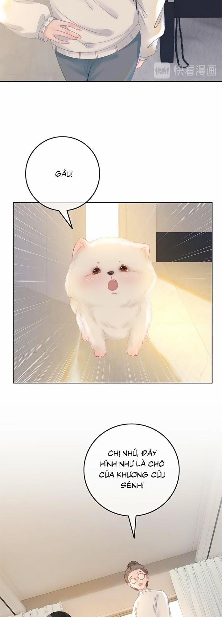 Ám Hắc Hệ Noãn Hôn 21 trang 16