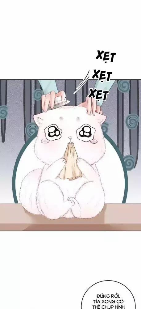 Ám Hắc Hệ Noãn Hôn 22 trang 29