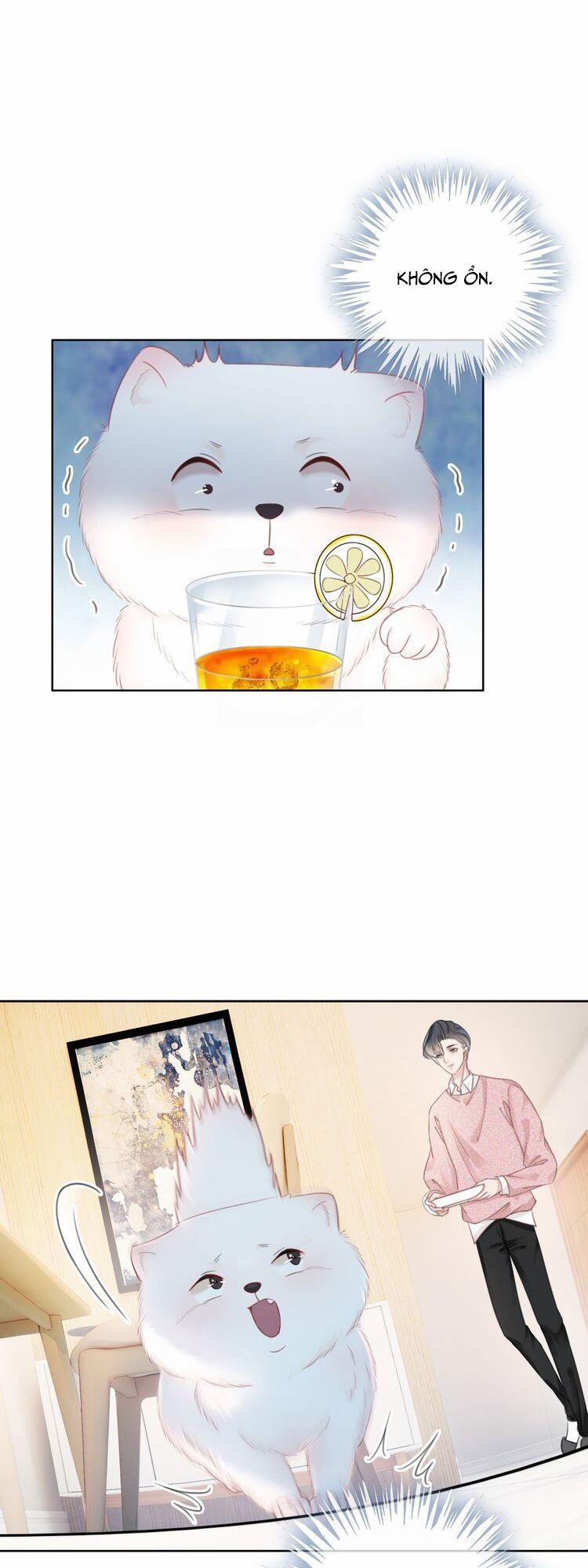 Ám Hắc Hệ Noãn Hôn 30 trang 22