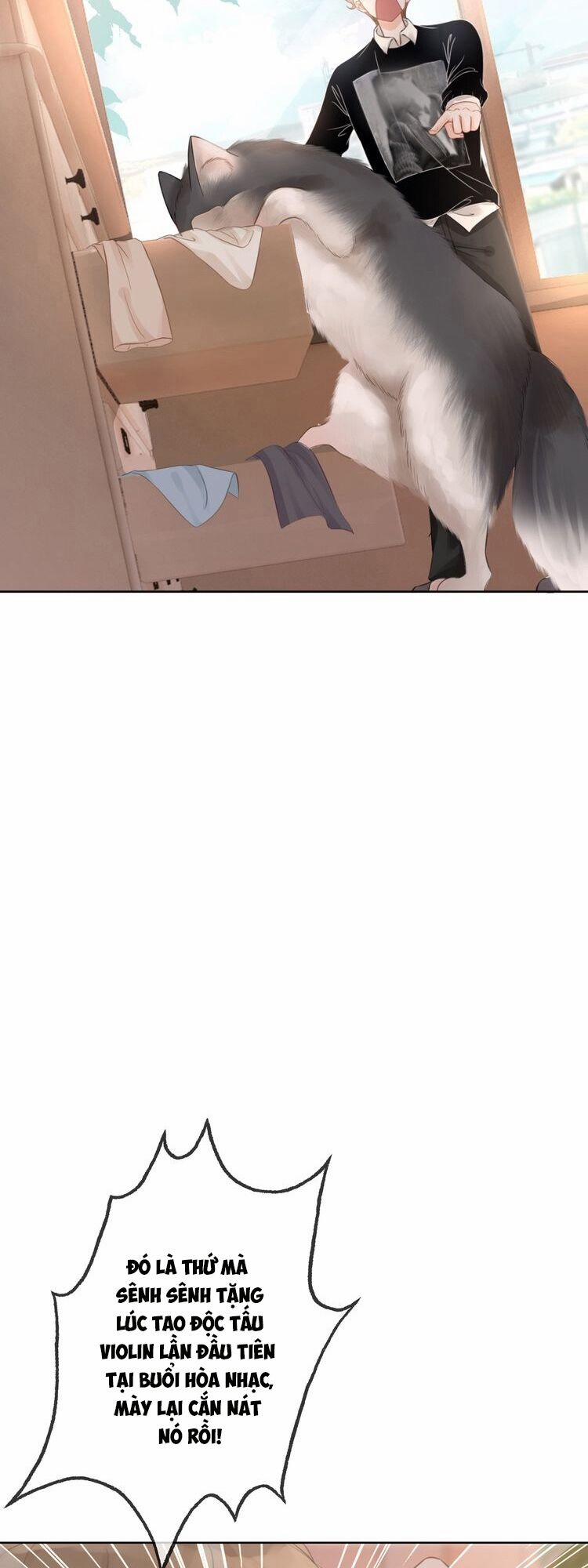 Ám Hắc Hệ Noãn Hôn 33 trang 13