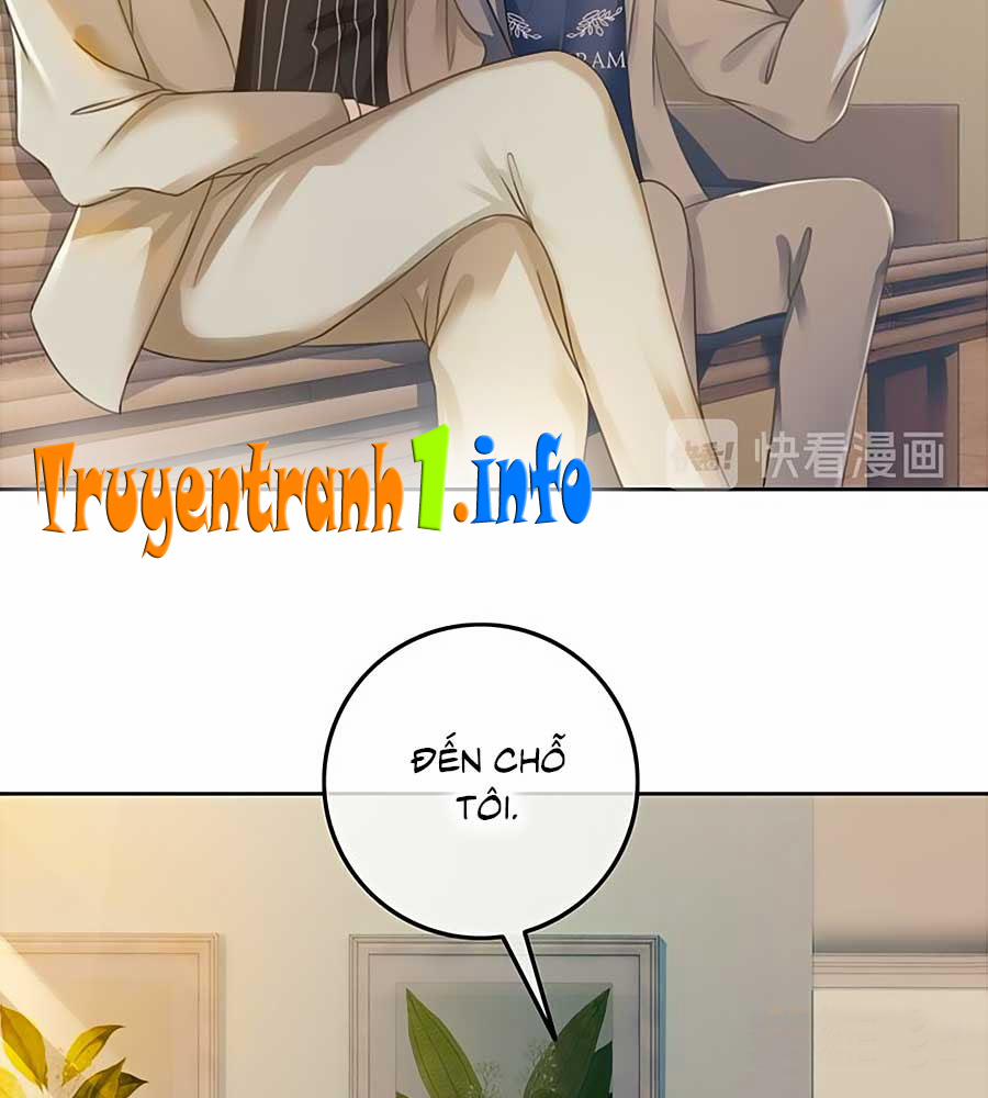 Ám Hắc Hệ Noãn Hôn 62 trang 6