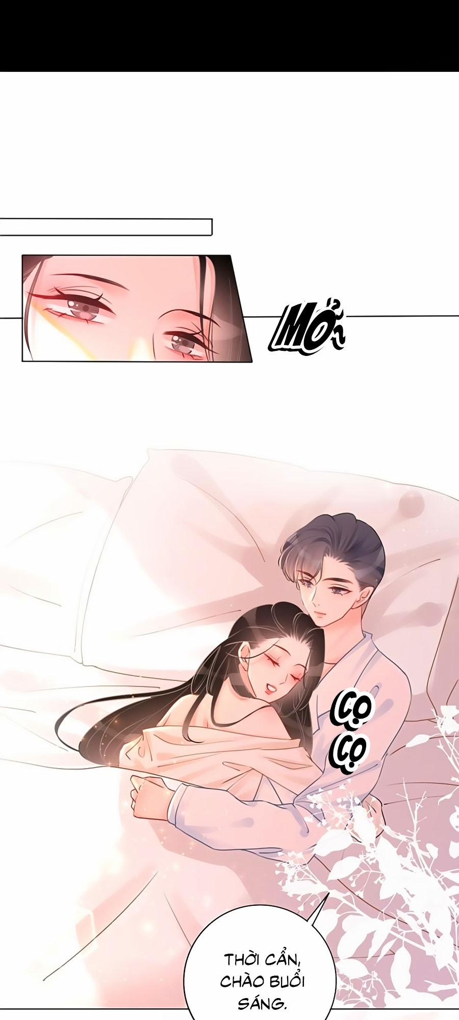 Ám Hắc Hệ Noãn Hôn 78 trang 4