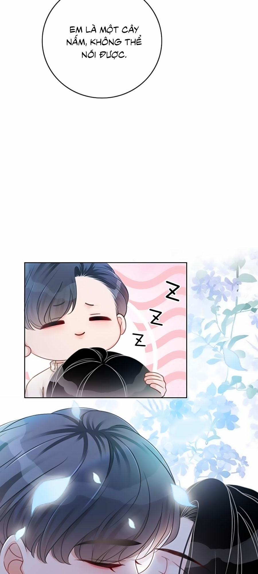 Ám Hắc Hệ Noãn Hôn 96 trang 14