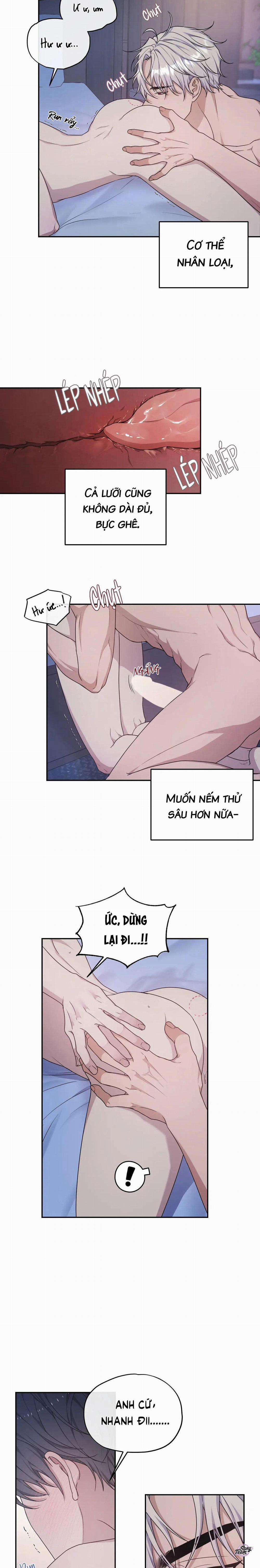 Ám Mộng 33 trang 7