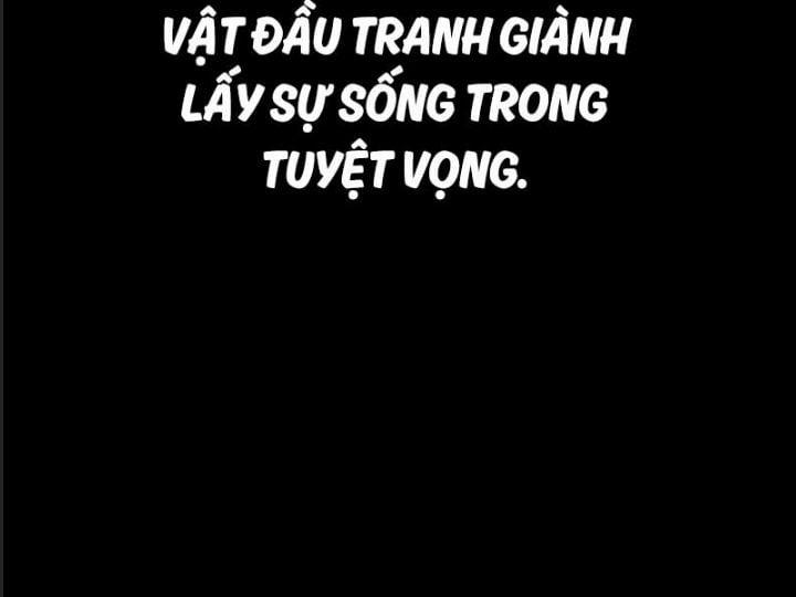 Ám Sát Tuyển Thủ Học Viện 13 trang 5