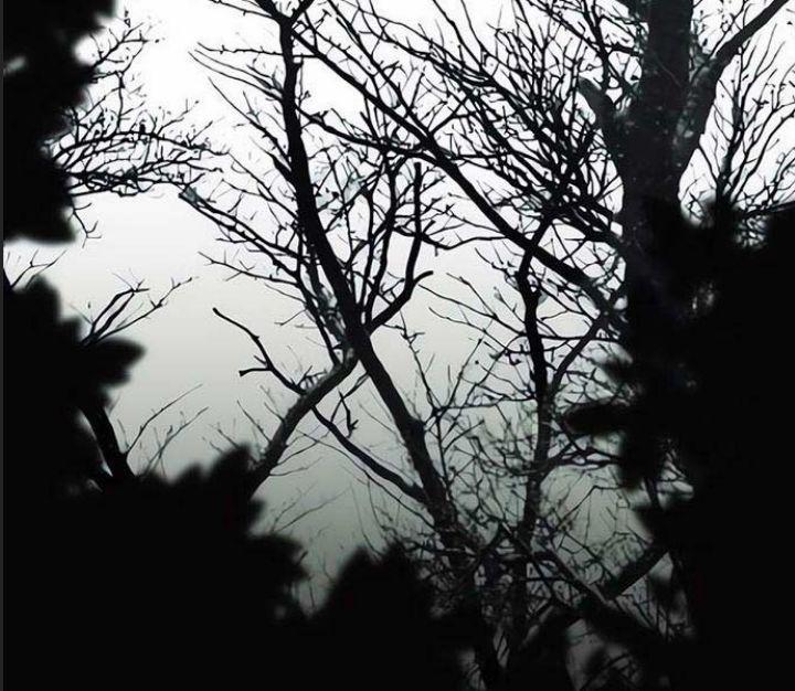 Ám Sát Tuyển Thủ Học Viện 18 trang 144