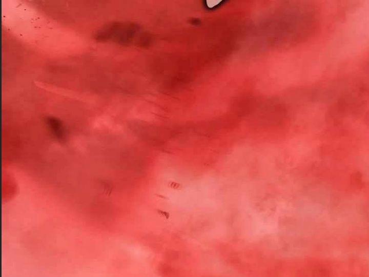 Ám Sát Tuyển Thủ Học Viện 19 trang 74