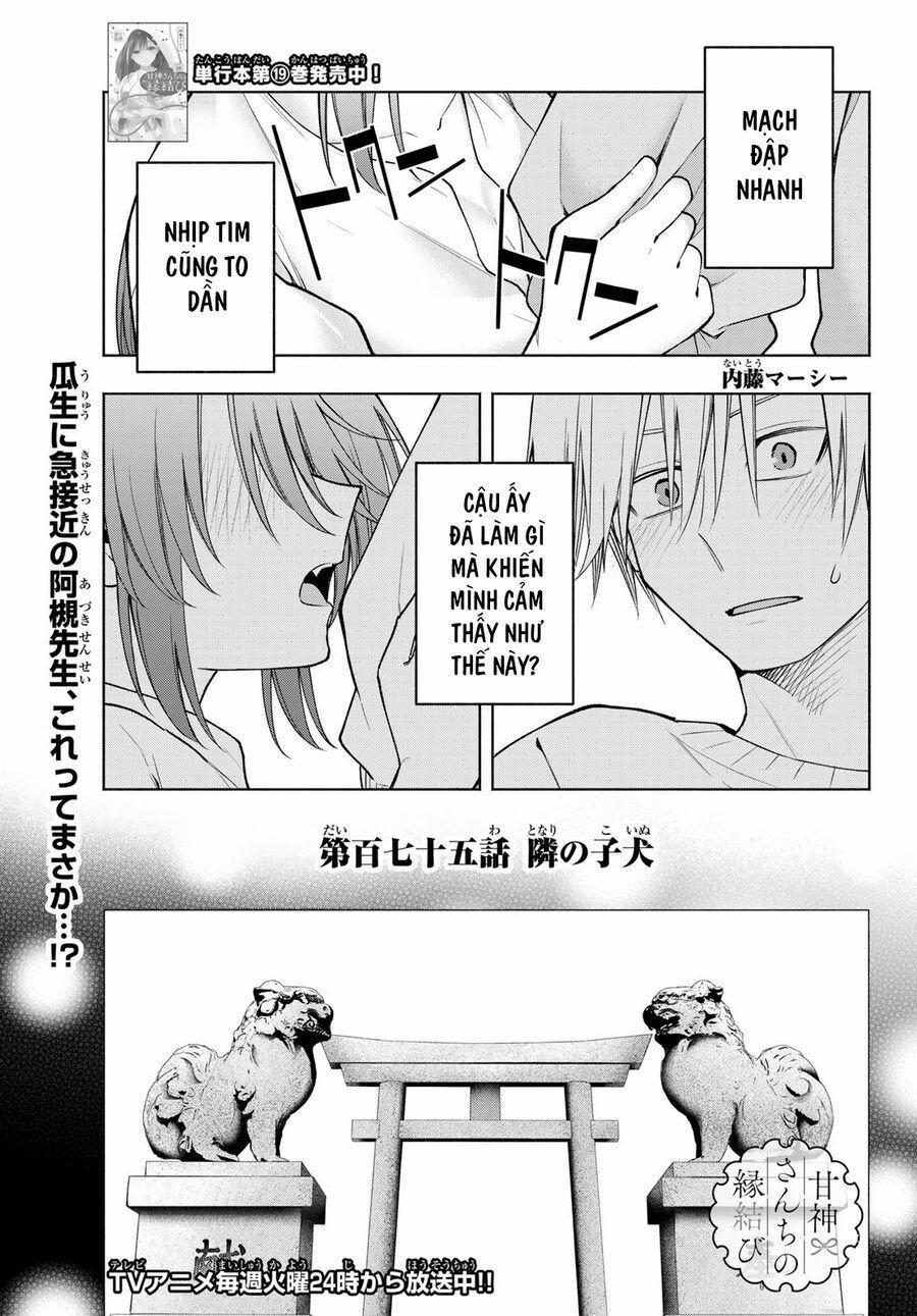 Amagami-San Chi No Enmusubi! 175 trang 1