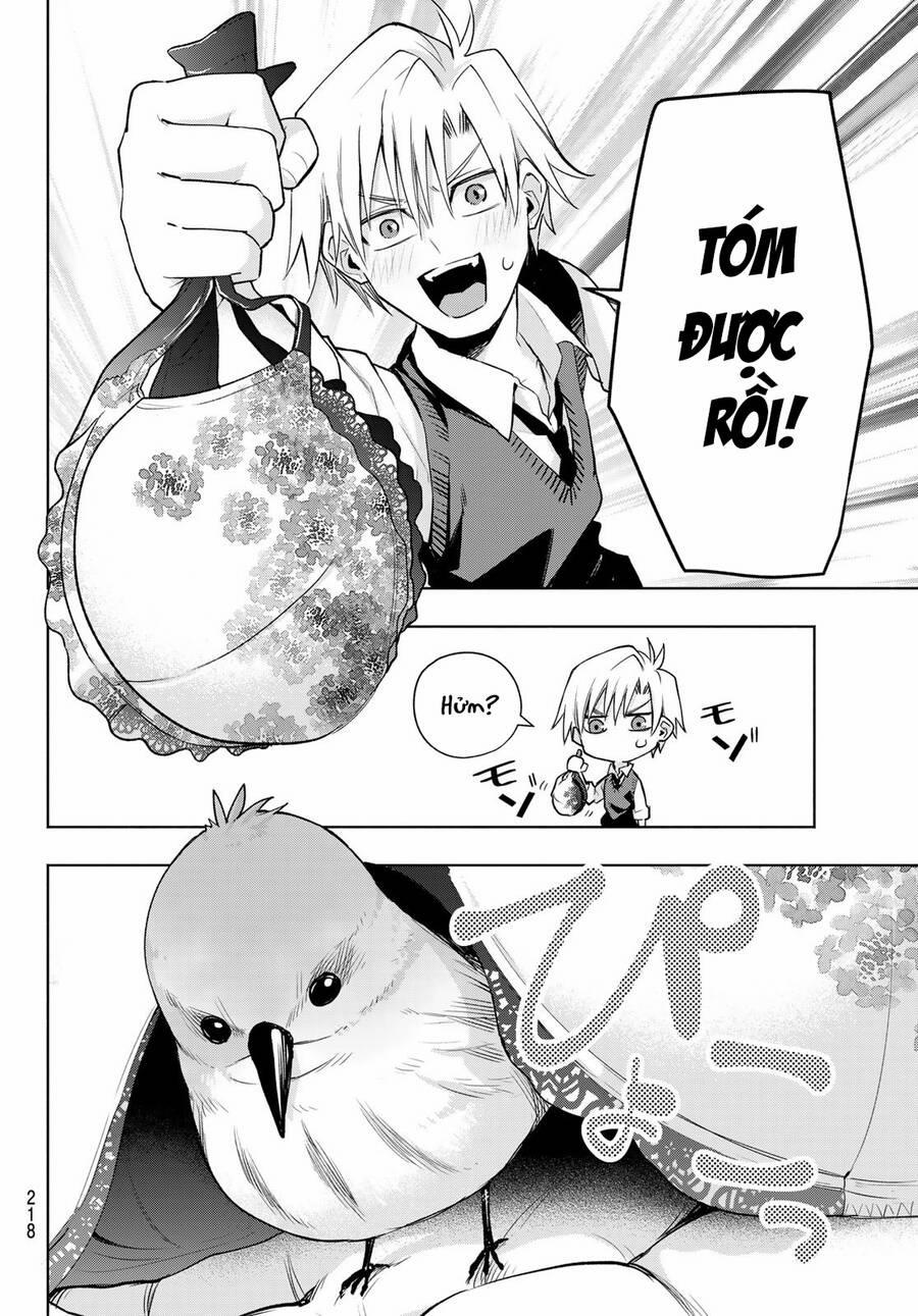 Amagami-San Chi No Enmusubi! 85 trang 12